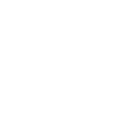 map icon