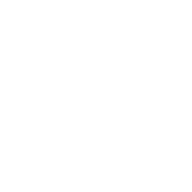 fish icon