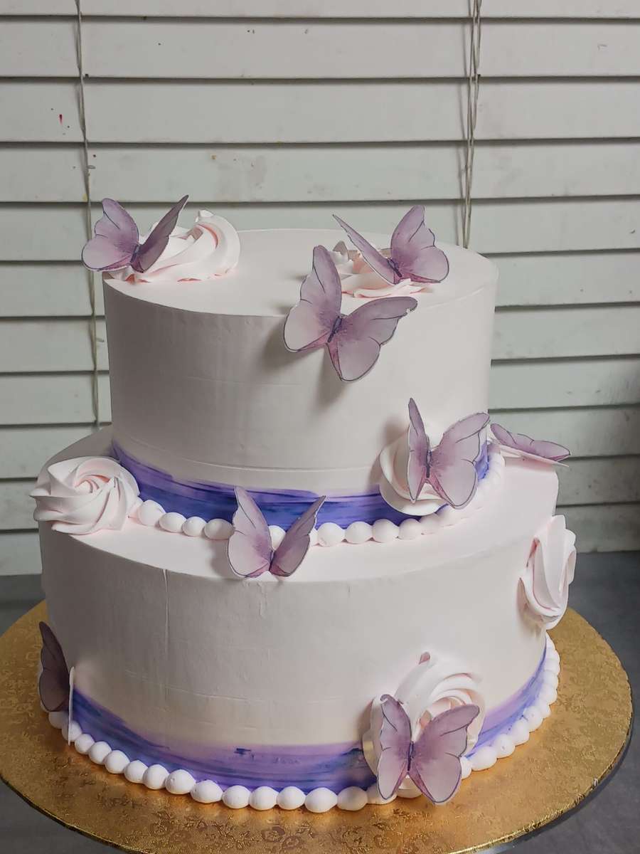 butterfly cake