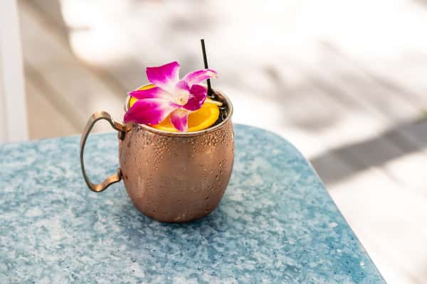 Mediterranean Mule