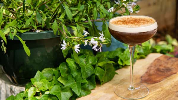 Kafe-Tini