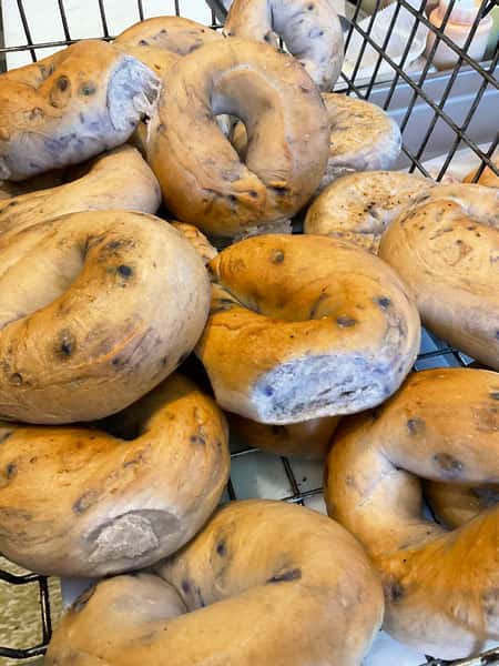 Blueberry Blitz Bagel