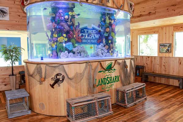 Aquarium instide the Claw House