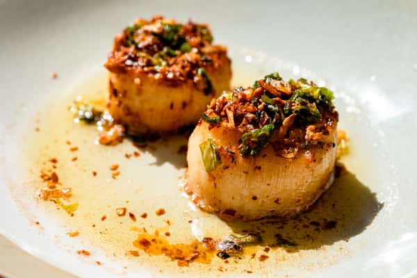Seared Scallops