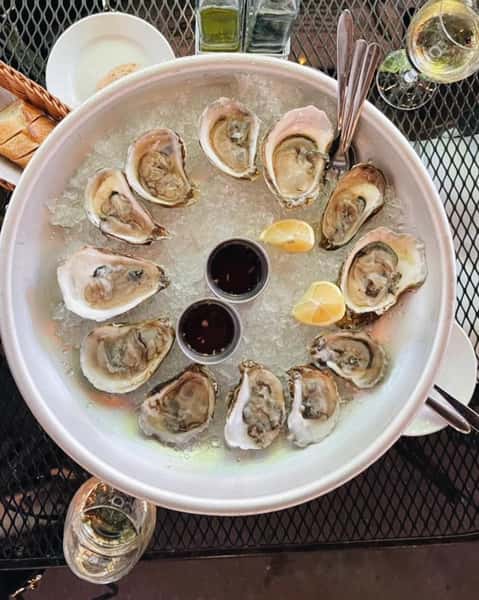 Oysters