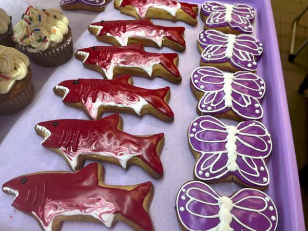 Shark Sugar Cookie