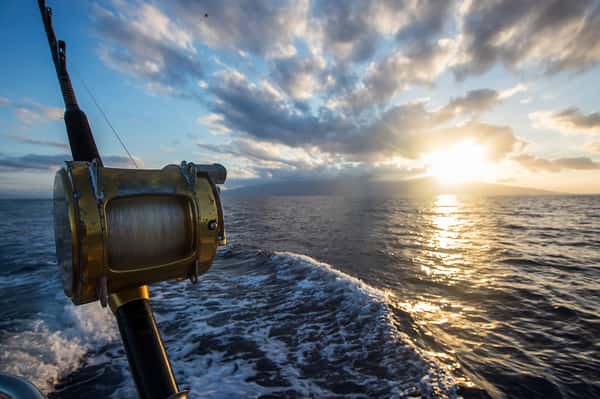 fishing