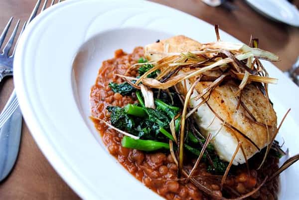 Halibut