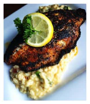 Barramundi