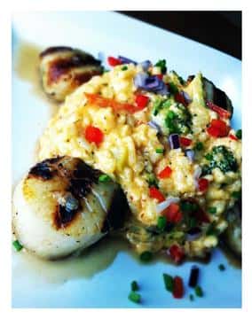 scallops