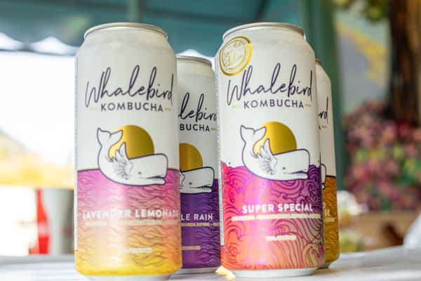 Kombucha