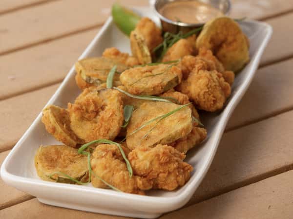 Gator Bites