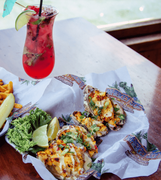 cocktails and oysters