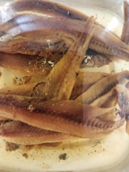 Anchovies
