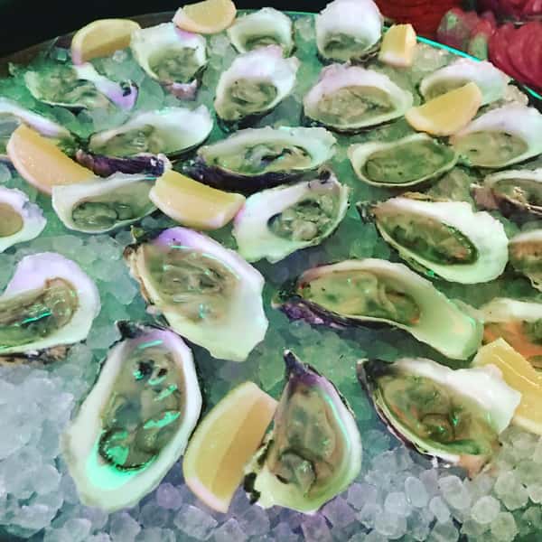 Oysters