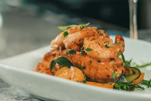 Salmon