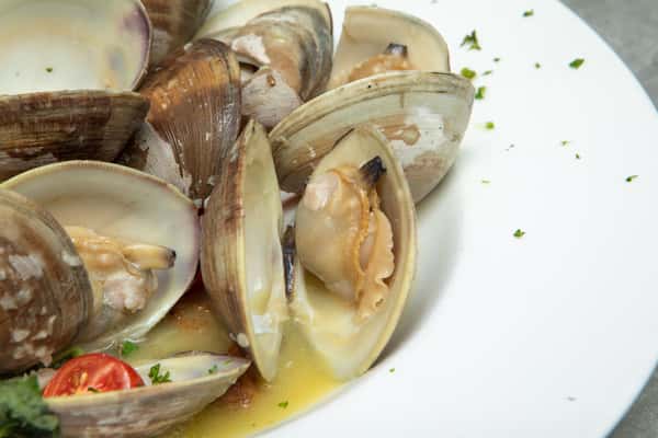 Clams