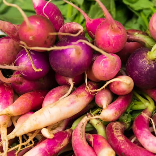 radishes