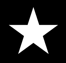 WHITE STAR SERVICE (Pick up OR Drop Off)