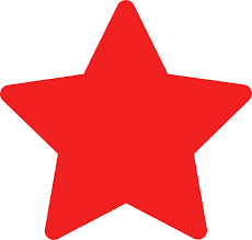 RED STAR SERVICE (THE WORKS)