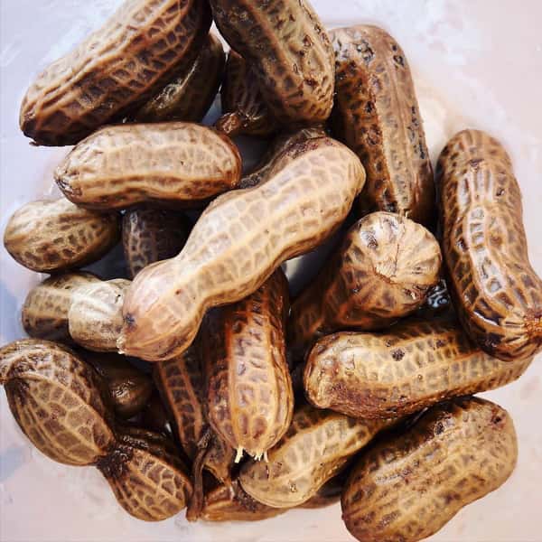 Boiled Peanuts