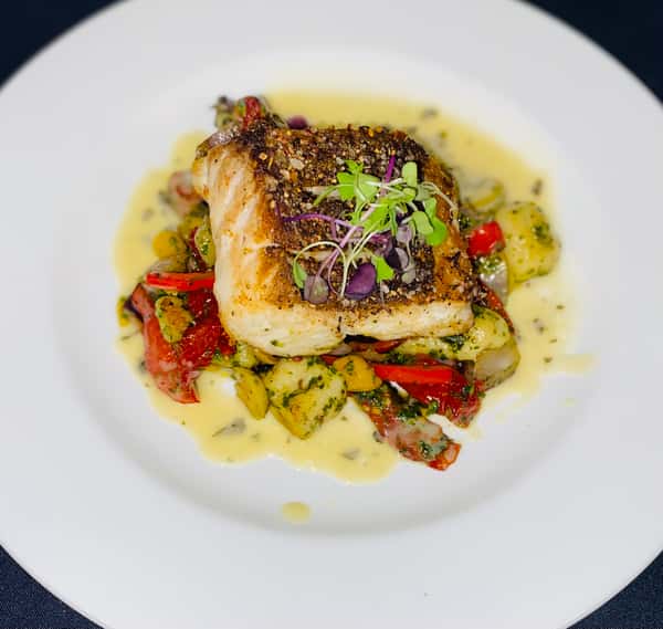 Gulf Coast Snapper