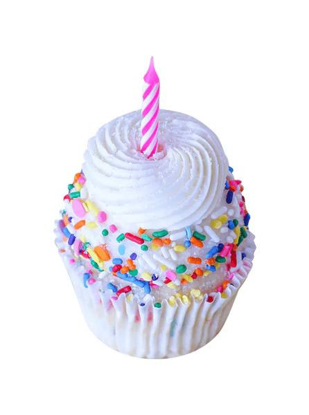 Birthday Surprise (Cupcake)