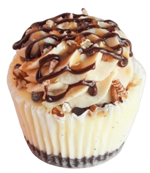 Salted Caramel Turtle Cheesecake (Cupcake)