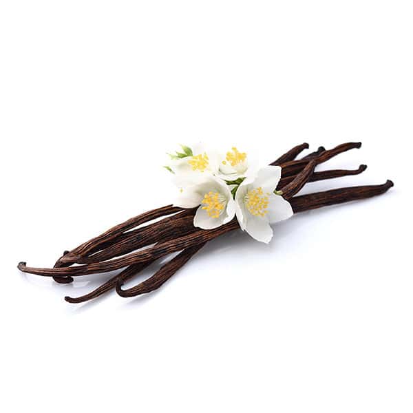 Madagascar Vanilla Bean