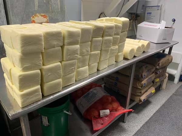 Assortment of mozzarella cheese