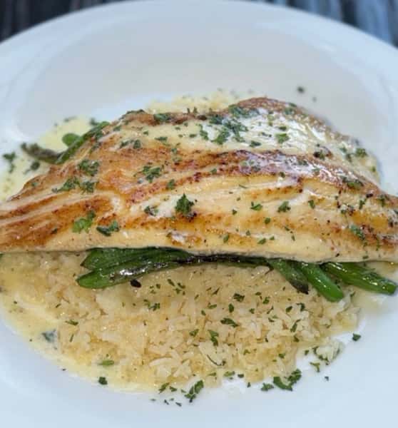 Trout