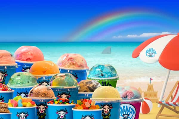 Catering Party Package 100 Small Ice Creams