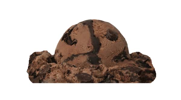 Chocolate Moose Tracks