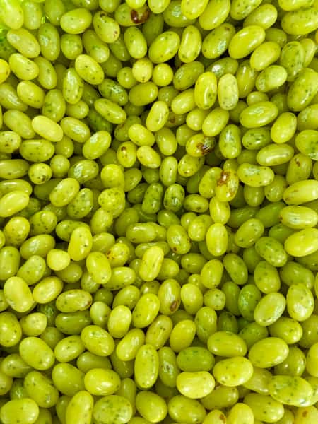 Juicy Pear Jellybeans