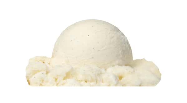 Vanilla Bean