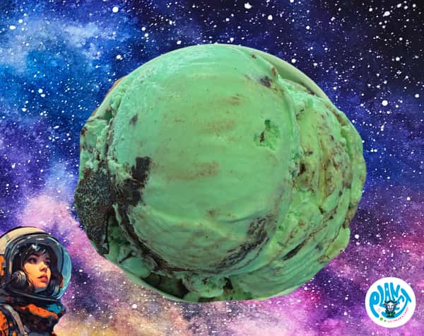 Mint Moose Tracks Ice Cream