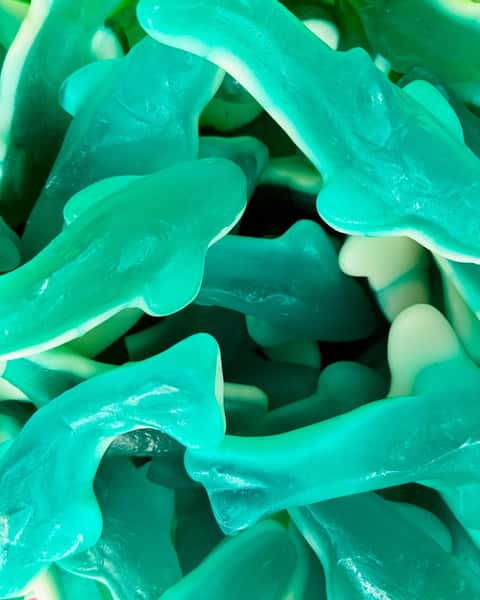 Giant Gummy Sharks