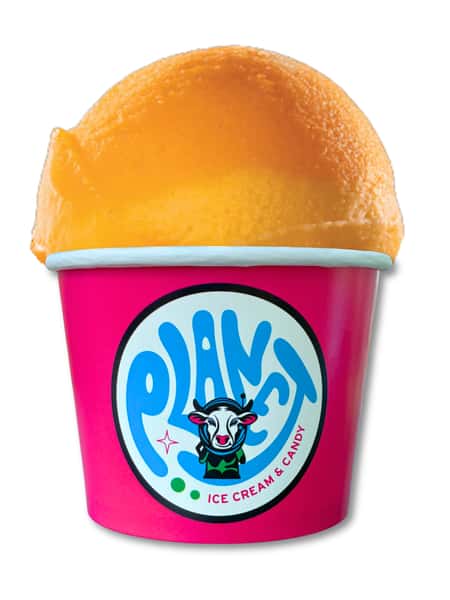 Large Italian Ice/Sorbet