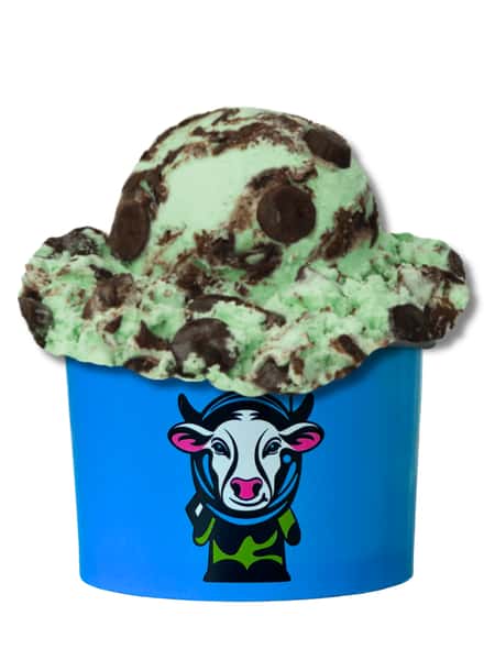 Small Ice Cream