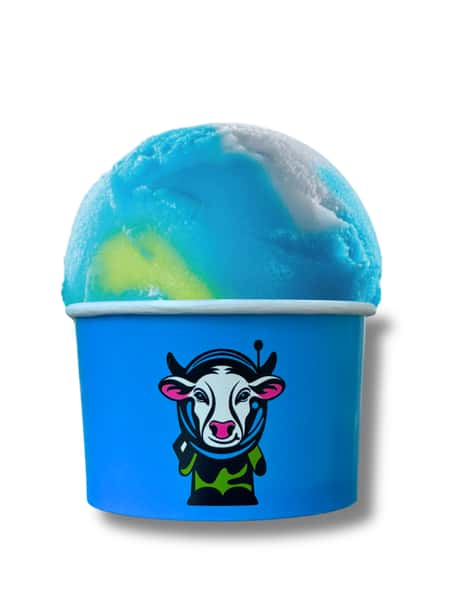Small Italian Ice/Sorbet