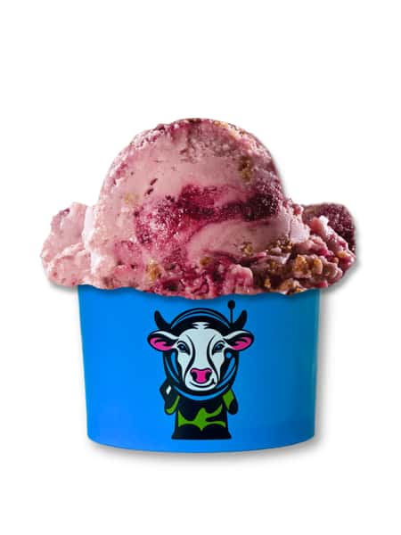 Dairy Free Small Ice Cream