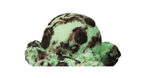Mint Moose Tracks