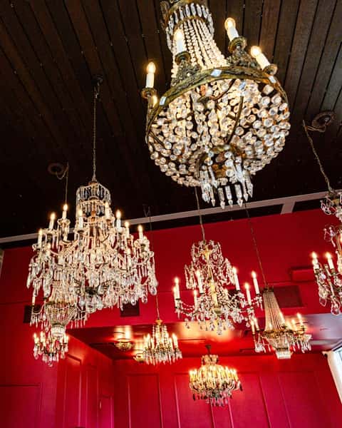 Frida Room Chandeliers