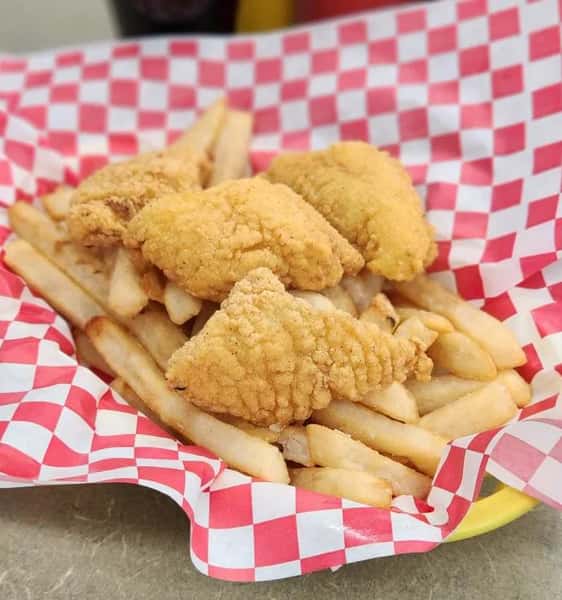 CatfishBites