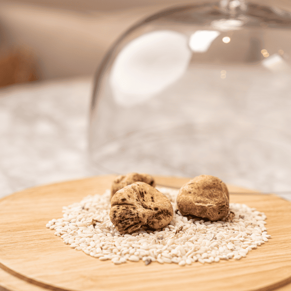 htx - white truffle | image 2