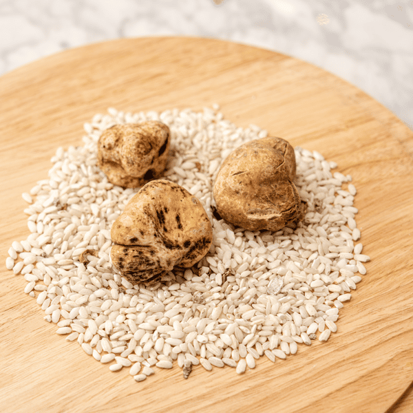 htx - white truffle | image 1
