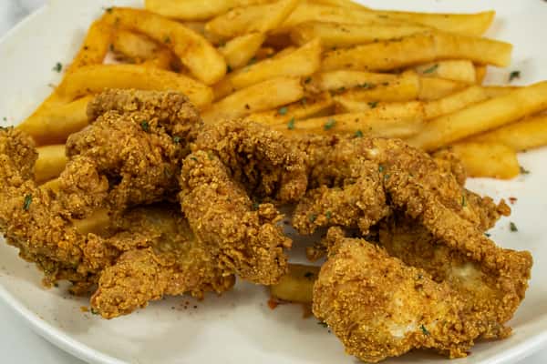 Crispy fried catfish fillets served with seasoned French fries on a white plate.
