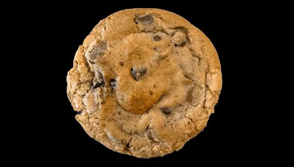 Sea Salt Chocolate Chip