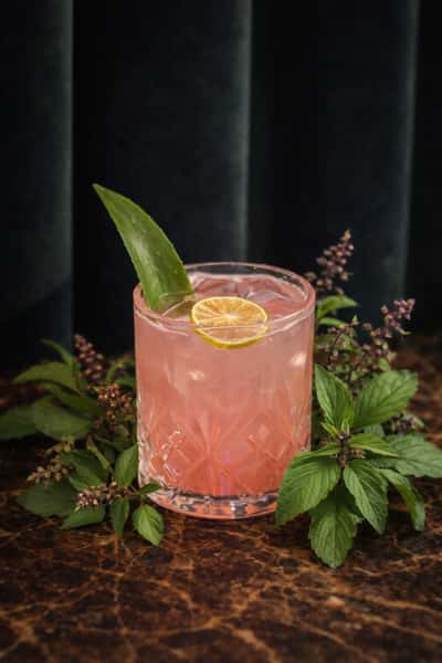 Tulsi Twist