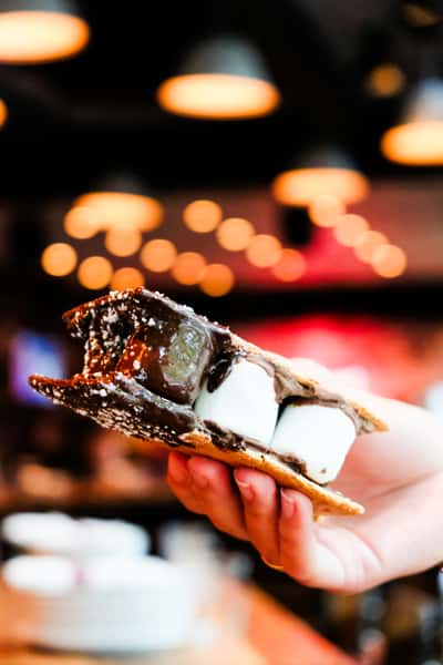 S'more Sandwich